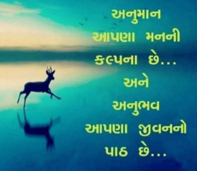 Gujarati Whatsapp-Status by sikandar : 111189402