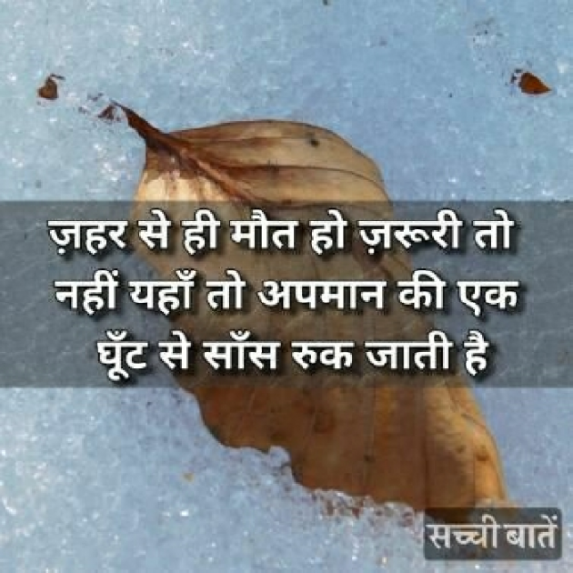 English Shayri by As Avesh : 111189531