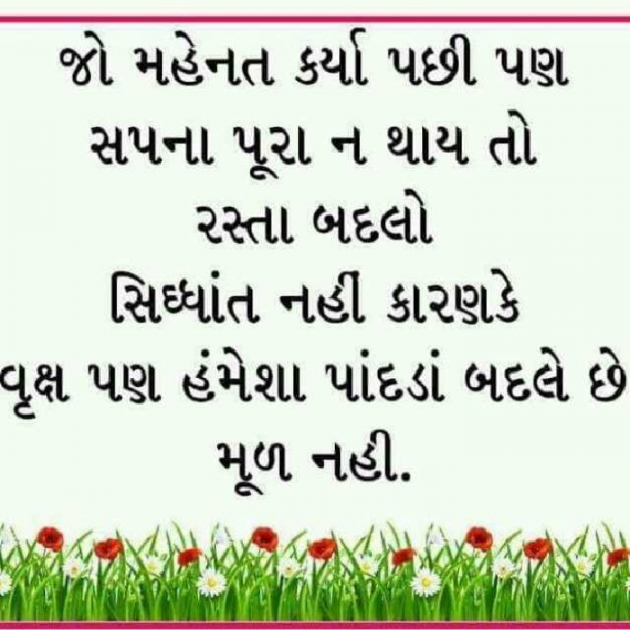 Gujarati Quotes by Amrut Solanki : 111189597