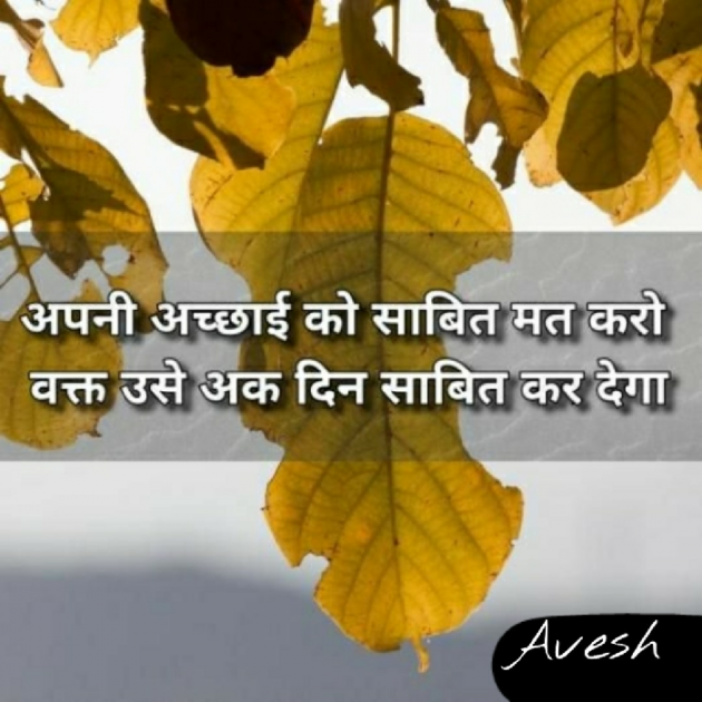 English Shayri by As Avesh : 111189785