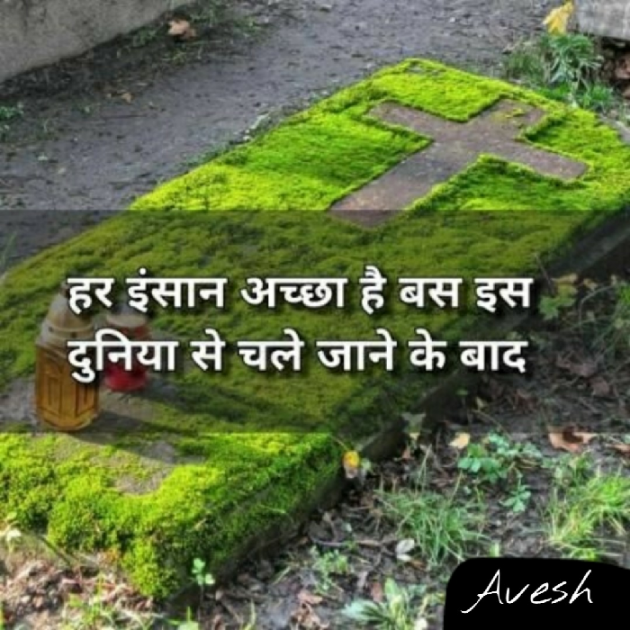 English Shayri by As Avesh : 111189927