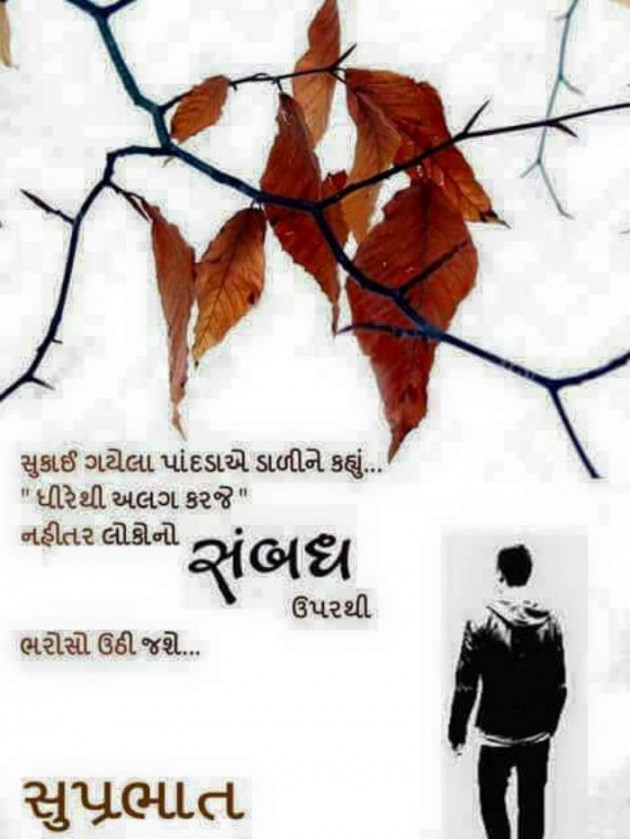 Gujarati Good Morning by Mukesh Shah : 111189964