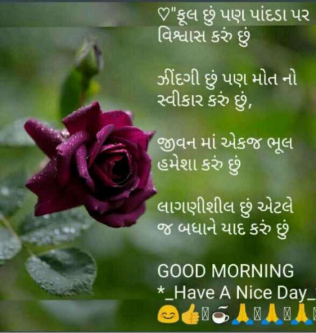 Gujarati Good Morning by Mehul Kumar : 111189969