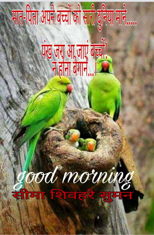 Hindi Good Morning by Seema Shivhare suman : 111189983