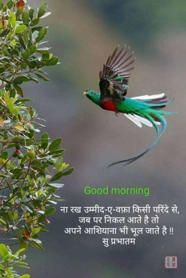 Hindi Good Morning by Kalpesh Joshi : 111190046