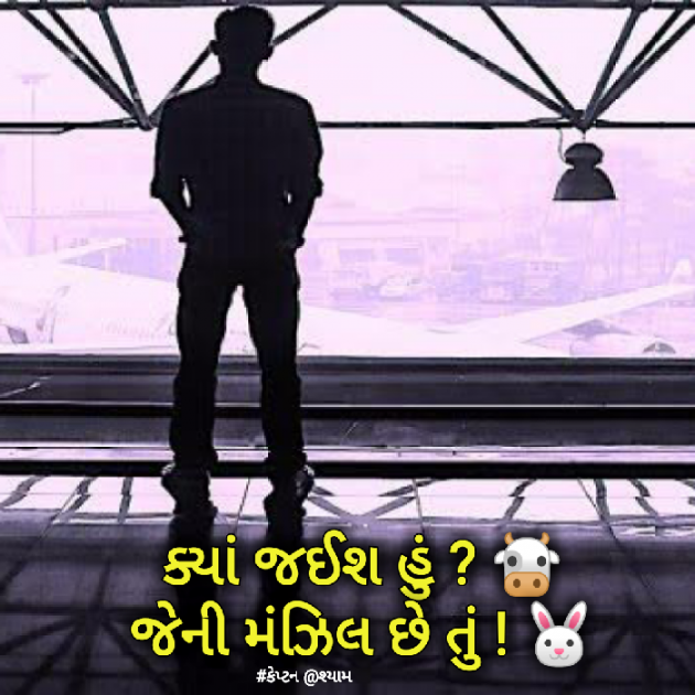 Gujarati Blog by Nirav Patel SHYAM : 111190059