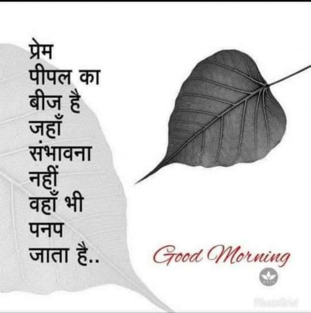 Gujarati Good Morning by Parmar Narvirsinh : 111190099
