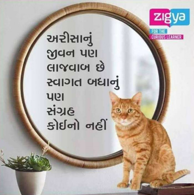 Gujarati Quotes by Mukesh Shah : 111190224