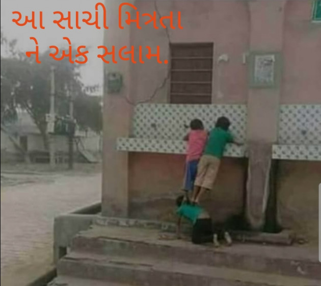 Gujarati Funny by Maulika Shah : 111190796