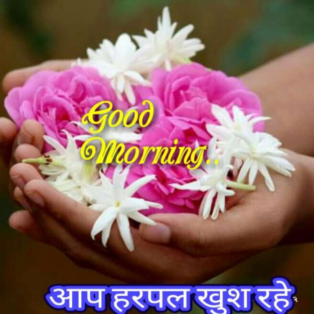 Gujarati Good Morning by Sanjay Joshi : 111190956