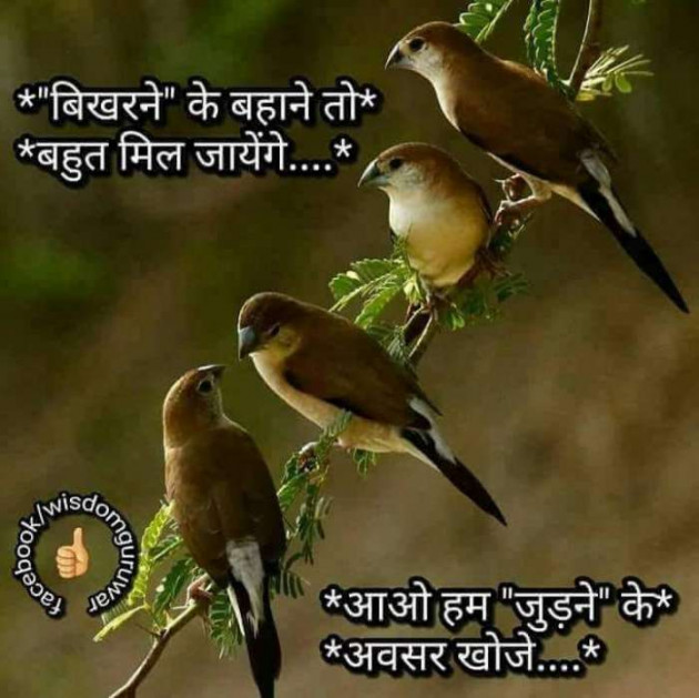 Gujarati Good Morning by Mukesh Shah : 111191628