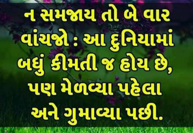 Gujarati Whatsapp-Status by sikandar : 111191923