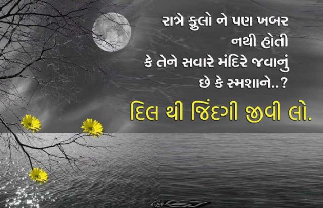 Gujarati Whatsapp-Status by sikandar : 111191925