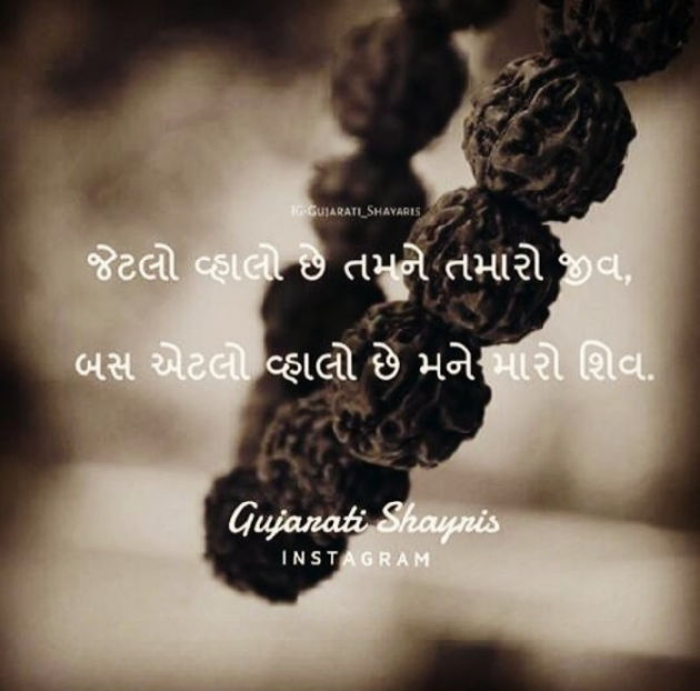 Gujarati Religious by shaktisinh vihol : 111192020