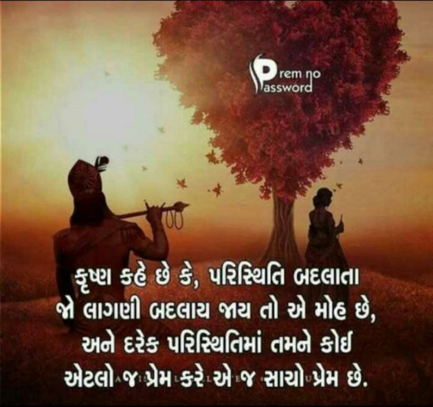 Gujarati Good Evening by Mithapara : 111192421