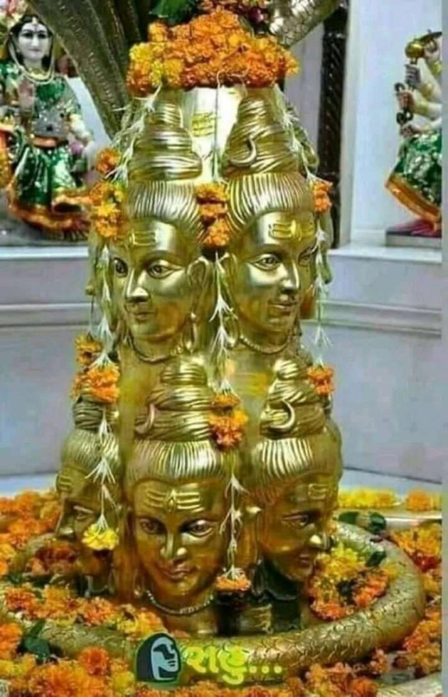 Gujarati Good Morning by AP : 111193210