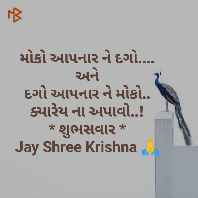 Gujarati Good Morning by SMChauhan : 111193323