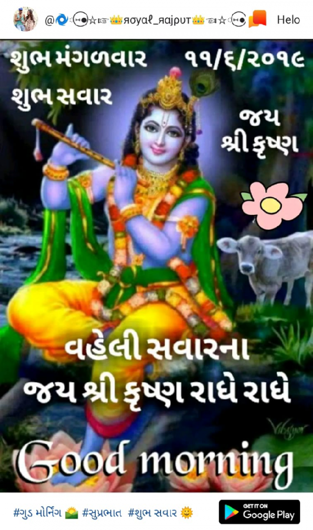 Gujarati Quotes by Yash : 111193370