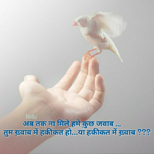 Gujarati Blog by Nidhi_Nanhi_Kalam_ : 111193425