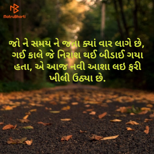 Post by Milee on 12-Jun-2019 12:30am