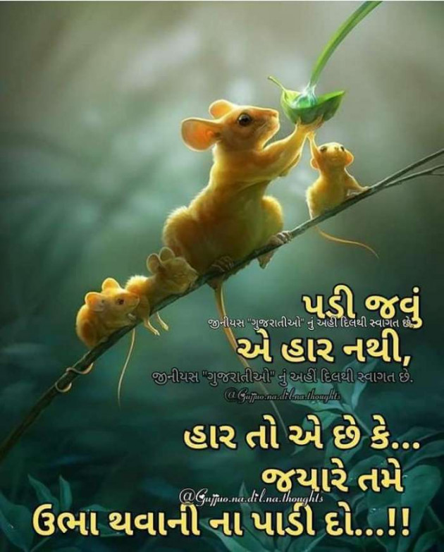 Gujarati Quotes by Mukesh Shah : 111194065