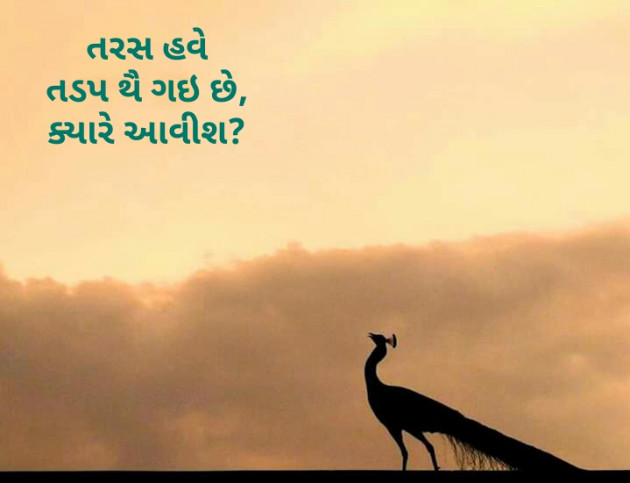 Gujarati Hiku by Kinar Rana : 111194120