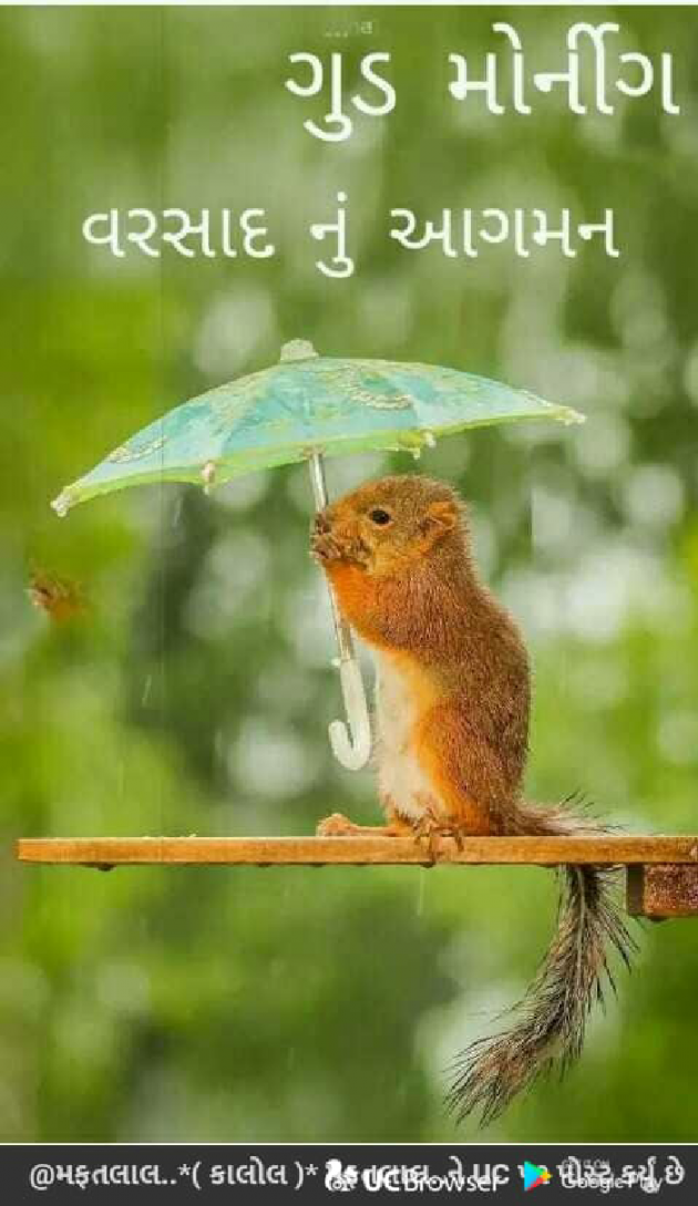 Gujarati Good Morning by Bhavesh : 111194994