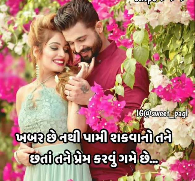 Gujarati Romance by Rahul : 111195026