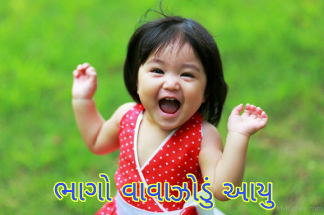 Gujarati Jokes by Gadhadara Jayou : 111195086