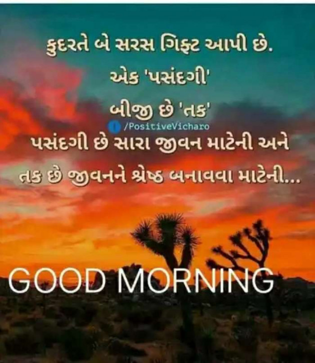 Gujarati Good Morning by Naresh Parmar : 111195761