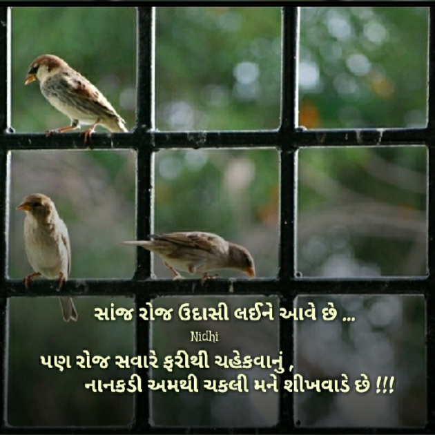 Gujarati Blog by Nidhi_Nanhi_Kalam_ : 111196337
