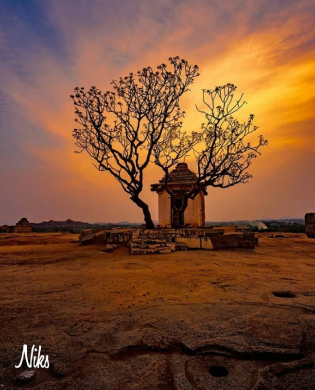 Gujarati Thought by Nikunj Panchal : 111196722