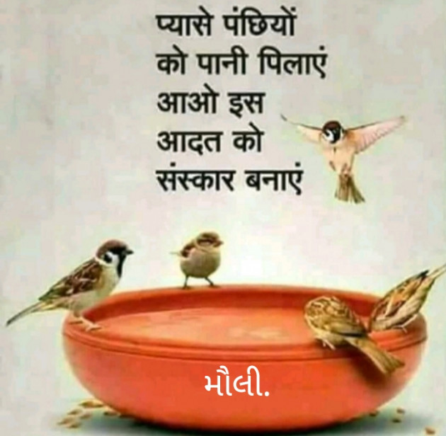 Gujarati Thought by Maulika Shah : 111196848