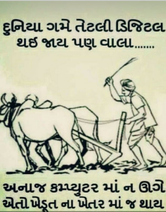 Gujarati Blog by Gadhadara Jayou : 111196891