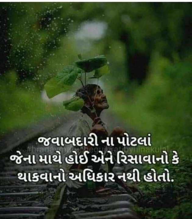 Gujarati Good Morning by Parmar Narvirsinh : 111197137