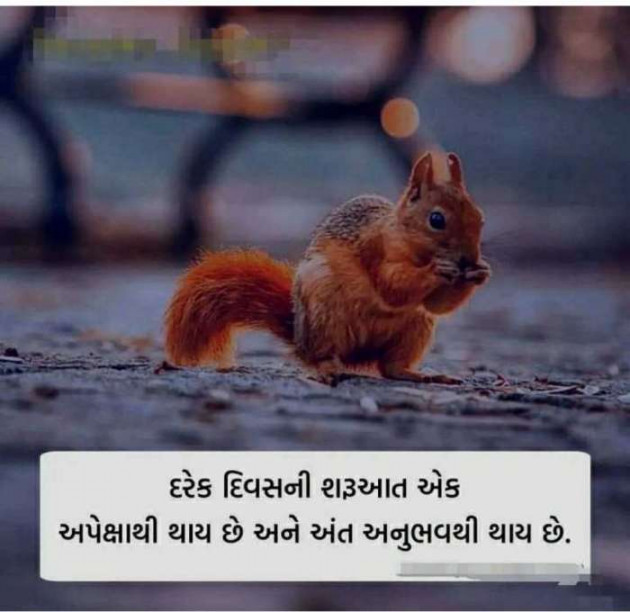 Gujarati Quotes by Ashwin Thakkar : 111197469