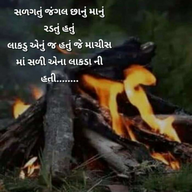 Gujarati Good Night by Vira : 111197510