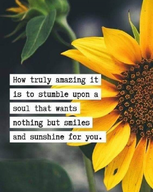 Post by ALIASGAR BHARMAL on 16-Jun-2019 09:24pm