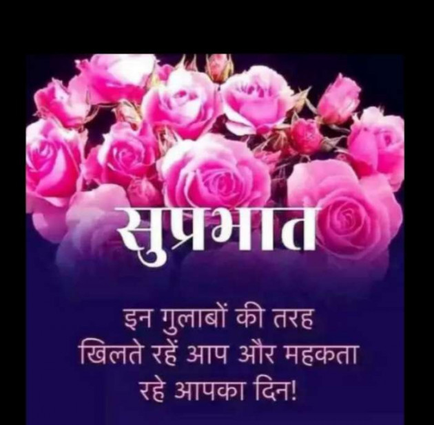 Hindi Quotes by Sawar Mal Patwari : 111197854