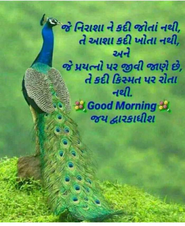 Gujarati Quotes by Ahir Somat : 111197953