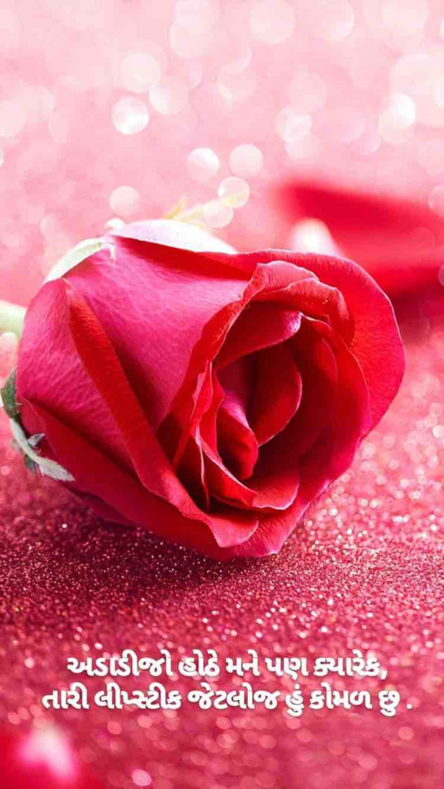 Gujarati Blog by Taran_Goswami : 111198025