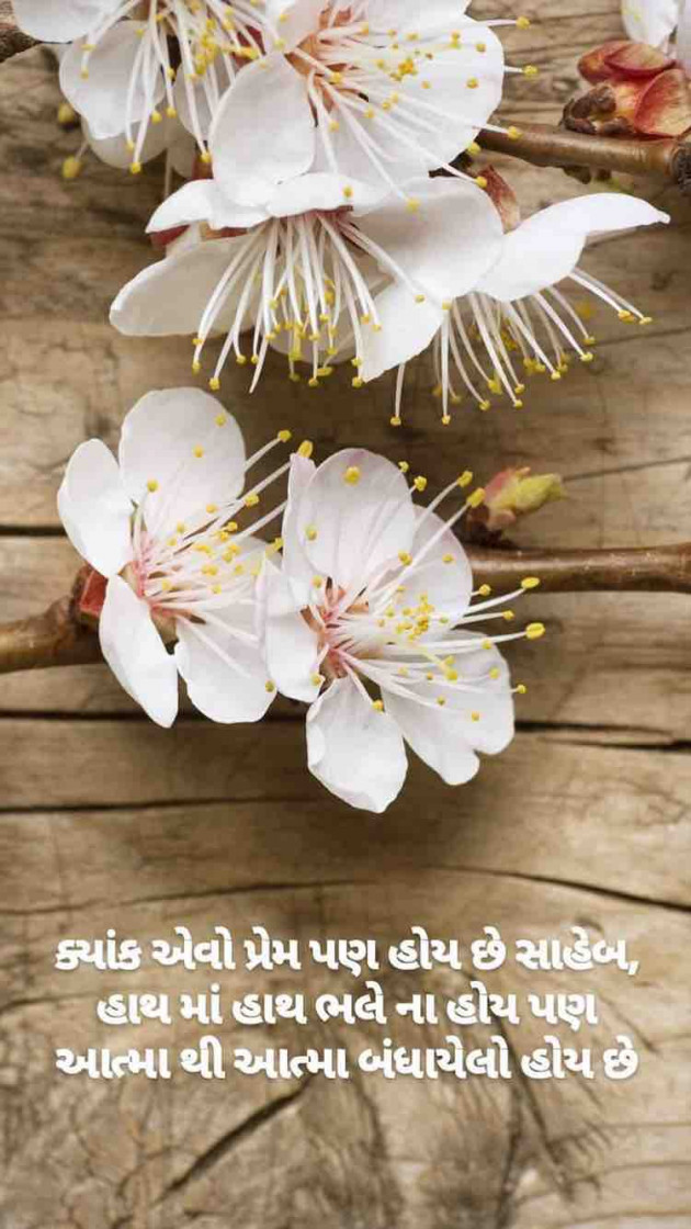 Gujarati Blog by Taran_Goswami : 111198026