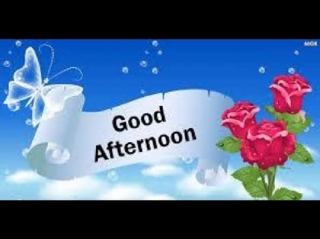 Gujarati Whatsapp-Status by Divyesh Labkamana : 111198277