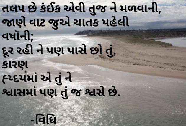 Gujarati Shayri by Vidhi : 111198551