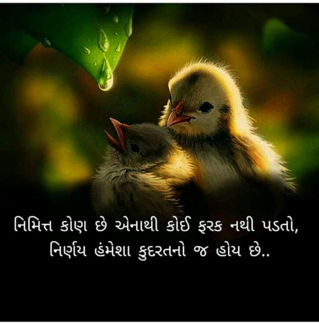 Gujarati Whatsapp-Status by sikandar : 111198716
