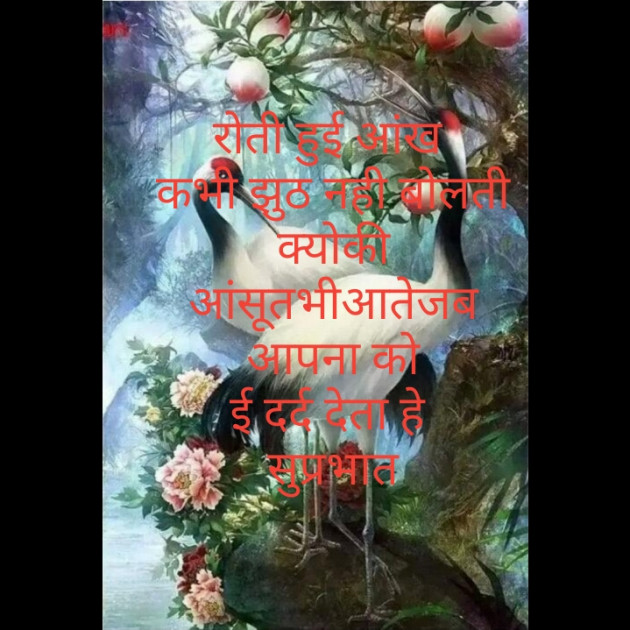 Gujarati Quotes by Chirag : 111198786