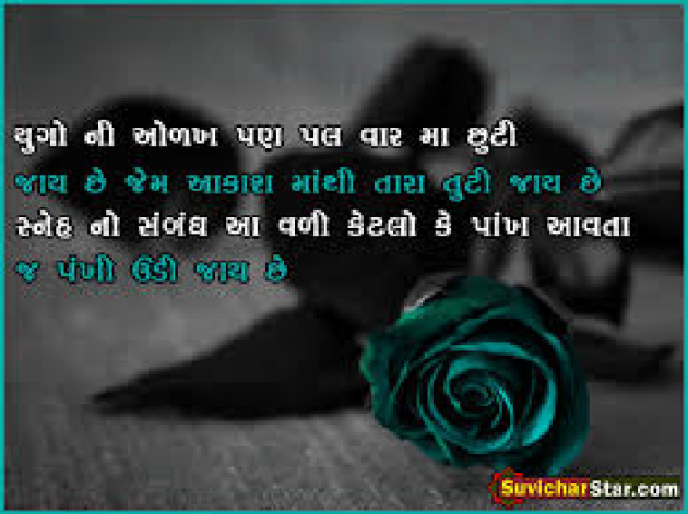 Gujarati Quotes by Nayan : 111198981