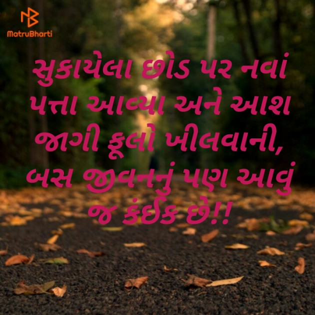 Gujarati Good Evening by Maitri Barbhaiya : 111199148