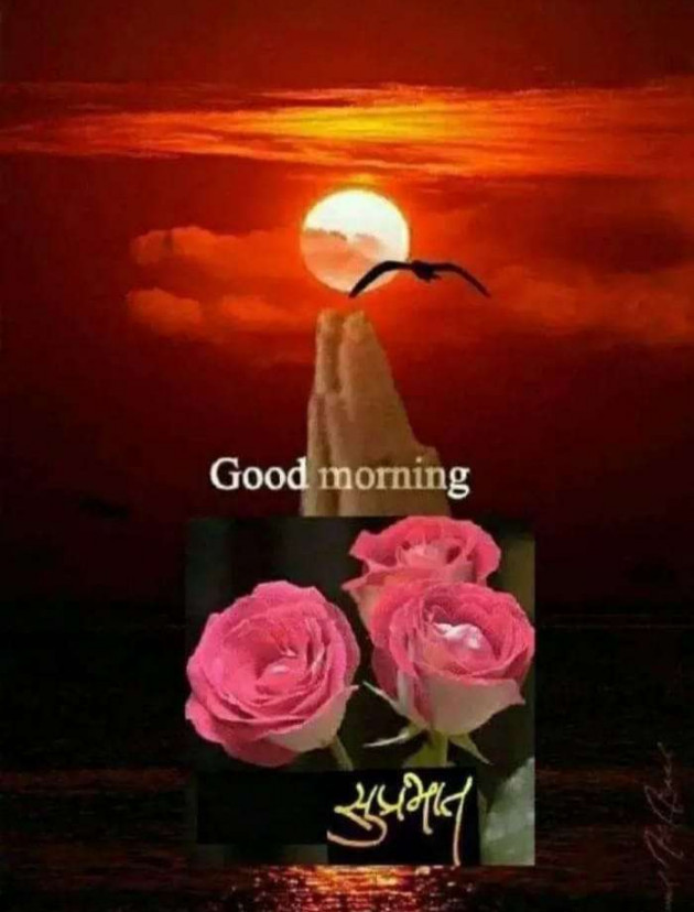 Hindi Quotes by Sawar Mal Patwari : 111199391