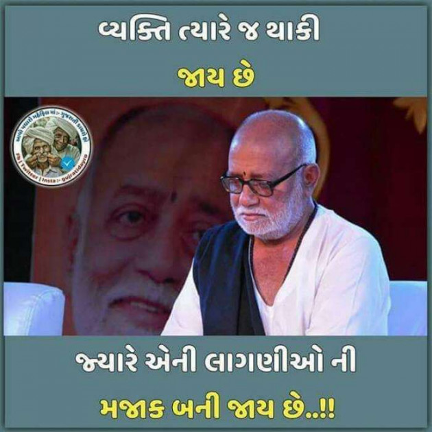 Gujarati Thought by Shailesh : 111199563